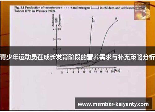 青少年运动员在成长发育阶段的营养需求与补充策略分析