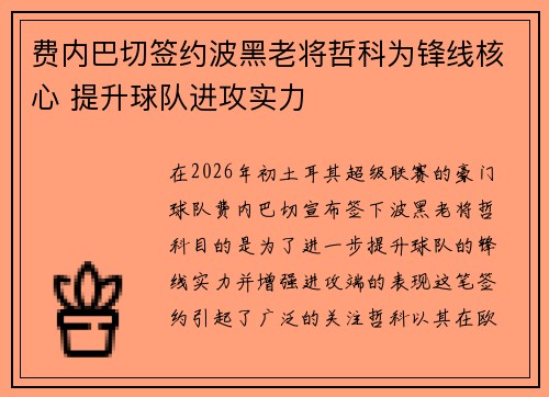 费内巴切签约波黑老将哲科为锋线核心 提升球队进攻实力